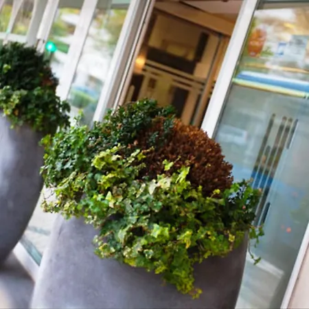 Szálloda Sercotel Codina San Sebastián