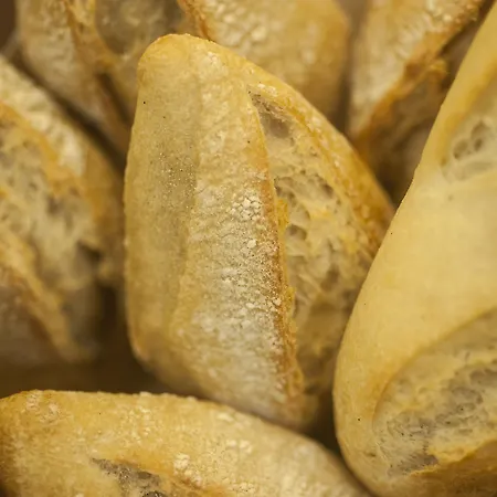 Szálloda Sercotel Codina 3*