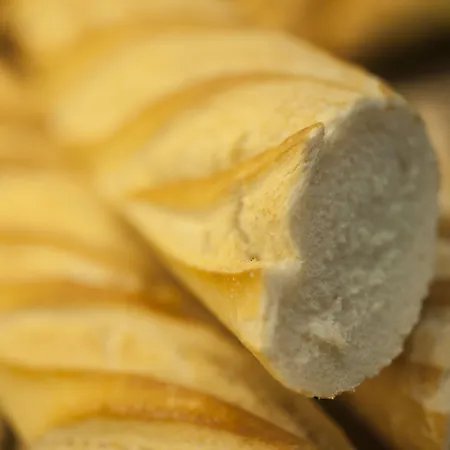 Sercotel Codina Saint-Sébastien